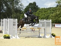 Students jumping for joy after national equestrian success