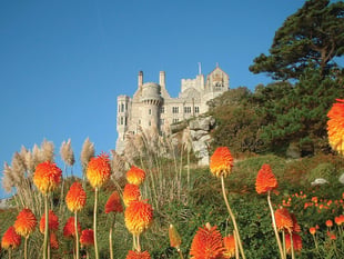 Iconic gardens at St Michael’s Mount to open for charity