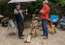 Ancient woodland thriving thanks to restoration works