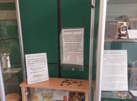 Volunteers at museum left disillusioned after thief stole donations