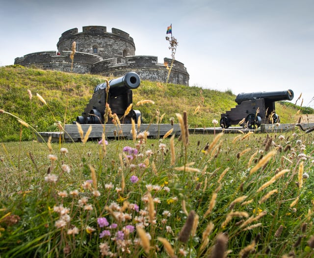 Historic cannon at St Mawes Castle undergoes conservation