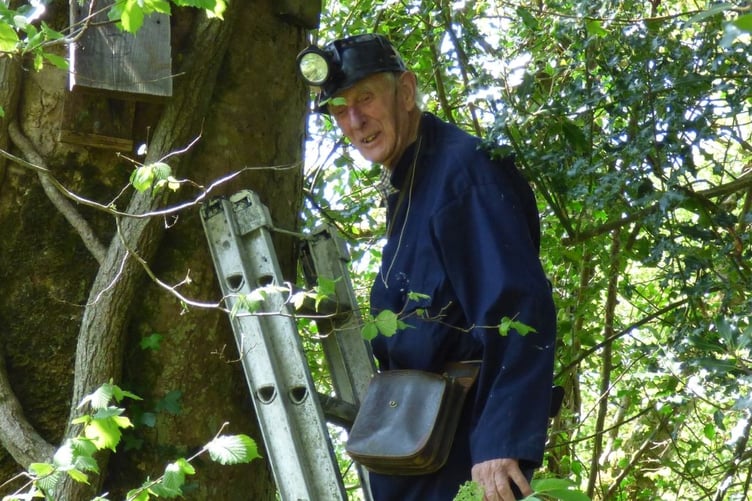 TONY Atkinson MBE, inspecting bat boxes in a Cornwall Wildlife Trust Reserve near Treburley