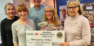 Charity supporters put their heads together to help raise funds