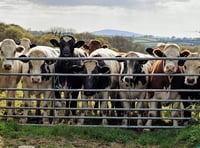 Family banned from keeping animals after causing 'shocking' suffering 