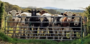 Family banned from keeping animals after causing 'shocking' suffering 