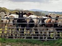 Family banned from keeping animals after causing 'shocking' suffering 