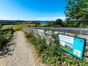 People invited to join free weekly walks in the Tamar Valley