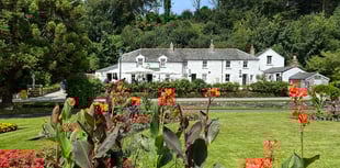 Heritage cottages appealing for people to step forward and help out