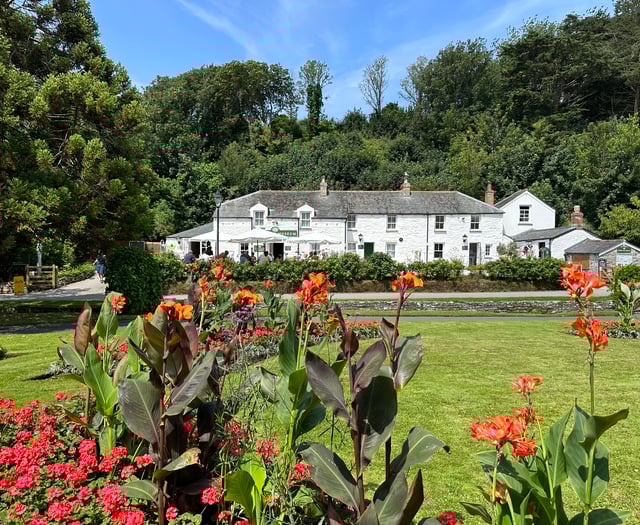 Heritage cottages appealing for people to step forward and help out