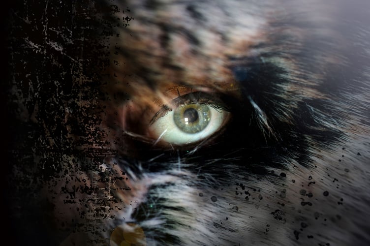 Stranger Beasts portrait