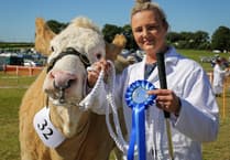 Big crowds expected as Liskeard Show marks 120th milestone