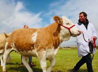 Camborne BID welcome new location for town's annual show