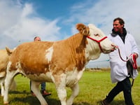 Camborne BID welcome new location for town's annual show