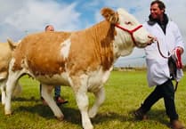Camborne BID welcome new location for town's annual show