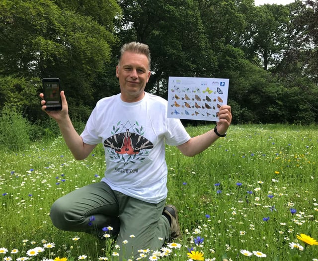 Butterfly Conservation issues rallying cry to people of Cornwall