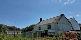 Cottage and woodland near St Austell sells at auction
