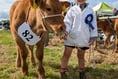Scorching sunshine for stellar Liskeard Show