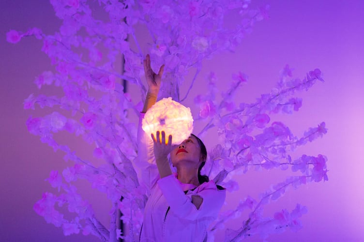 Panta Rei’s Petals and Tales