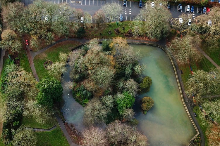 Priory Park pond.jpg