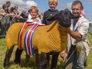 Record attendance for this year's Liskeard Show