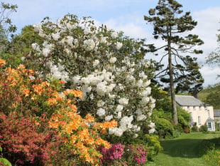 Bodmin Moor garden to open for charity