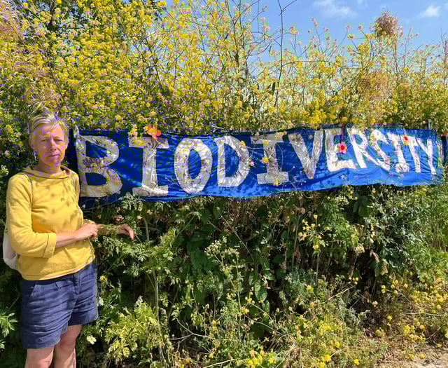 People power wins as homes plan which split community is refused