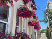 Gardeners recognised for their cultivation creations