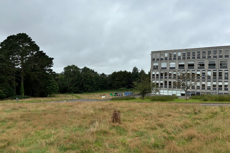 Looking towards the community orchard at the rear of New County Hall/Lys Kernow in Truro (Picture: Lee Trewhela/LDRS)