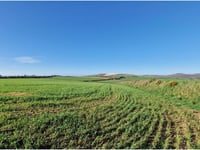 Plan for giant solar farm to span 19 fields