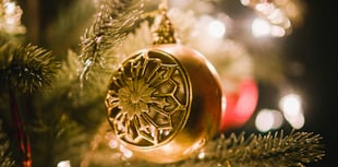 Village to have Christmas tree and lights for first time