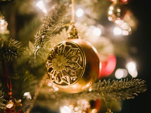 Village to have Christmas tree and lights for first time