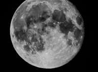 The Night Sky in May with Brian Sheen