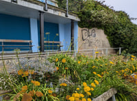 Authorities looking to stamp out graffiti following spate of incidents