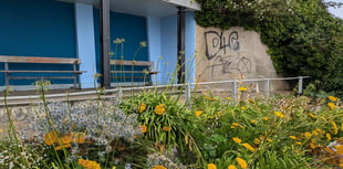 Authorities looking to stamp out graffiti following spate of incidents