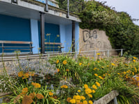 Authorities looking to stamp out graffiti following spate of incidents