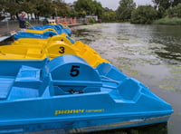 Boat operator calls for help with weed control 