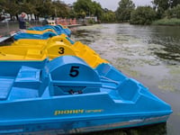 Boat operator calls for help with weed control 