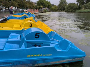 Boat operator calls for help with weed control 