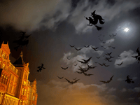 Hotel on the hunt for a witch