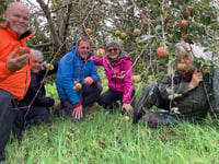 Cornwall Gleaning project seeks surplus apples 