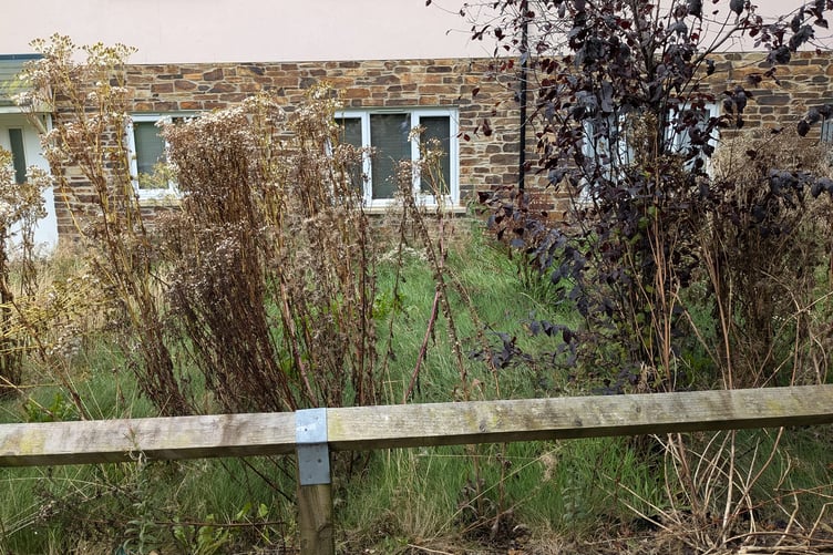An overgrown area of the estate in Bodmin managed by Coastline Housing.