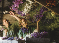 Flowers being harvested for Cotehele's Christmas Garland
