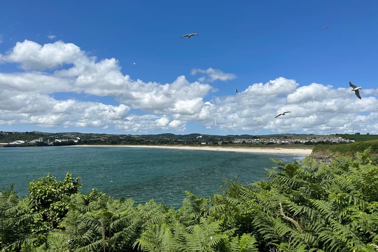 Campaigners are concerned about potential discharges into St Austell Bay. Picture: DIG