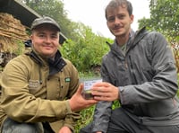 Tourist attraction hoping to give glow-worms a brighter future