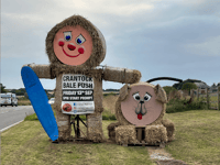 The countdown is on for Crantock's popular annual fundraiser