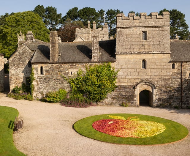 Autumn adventures await as National Trust gears up for half-term fun
