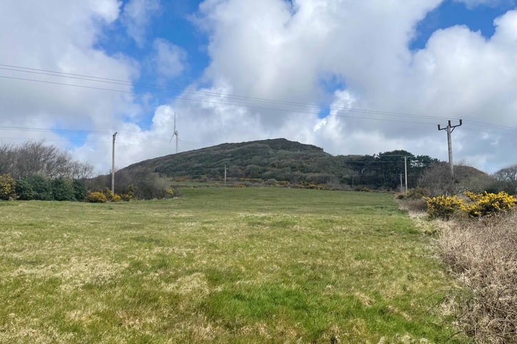 Two pieces of land, one including an old quarry, are up for auction near St Austell.