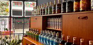 Distillery denies it will add to crime and antisocial behaviour