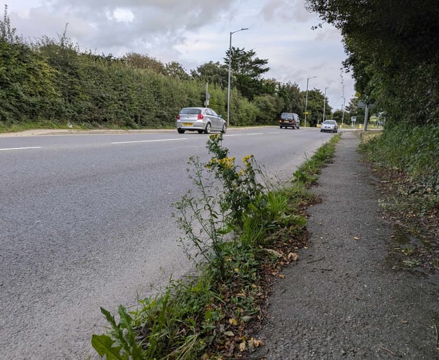 Councillors vote to challenge council glyphosate plans