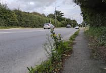 Councillors vote to challenge council glyphosate plans